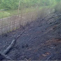 waldbrand3.jpg