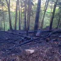 waldbrand1.jpg
